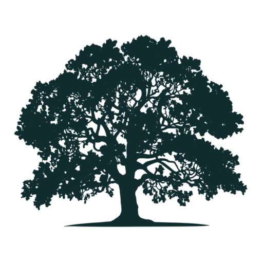 Templo Nacional Bahá'í - icone